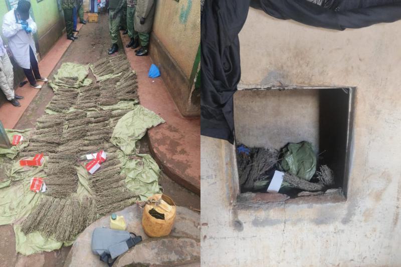 NACADA officers seize narcotics in Kisii, Homa Bay Counties